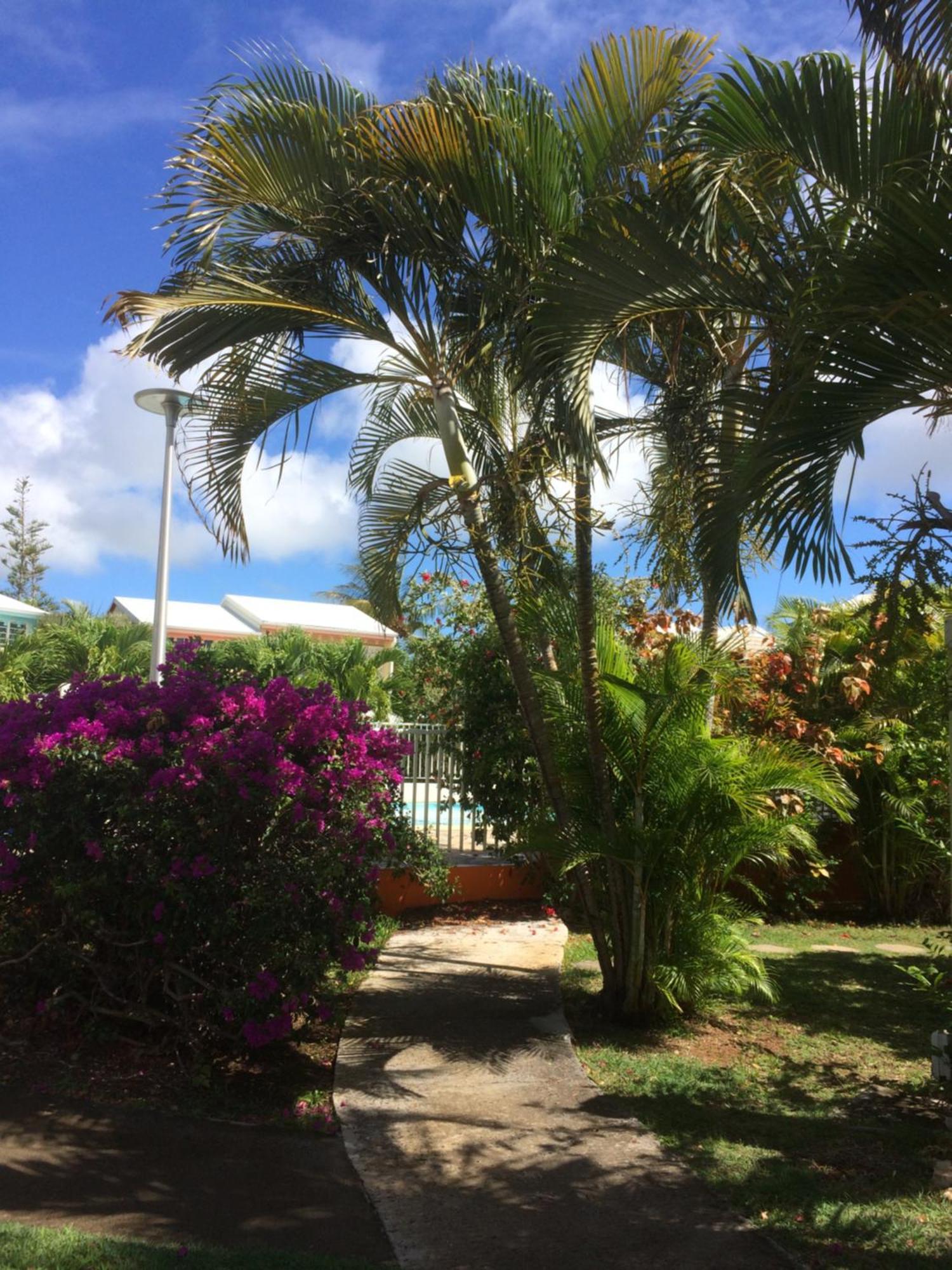Appartement T2 Avec Piscines Saint-Francois (Grande-Terre)